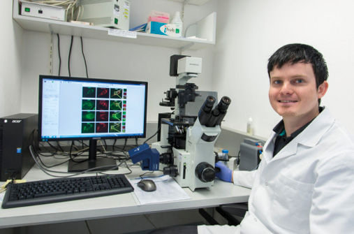 Stefan Salcher wertet gef&#00228;rbte Mitochondrien von Neuroblastomzellen am Fluoreszenzmikroskop aus