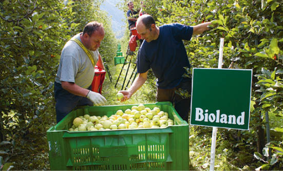 Bio-Kunden zeichnen sich durch eine ausgepr&#00228;gte Werteorientierung aus: Regionalit&#00228;t, Nachhaltigkeit, artgerechte Tierhaltung und die Ablehnung von chemischem Pflanzenschutz und Agro-Gentechnik geh&#00246;ren zu den h&#00228;ufigst genannten Anspr&#00252;chen. Foto: Leonhard Wellenzohn