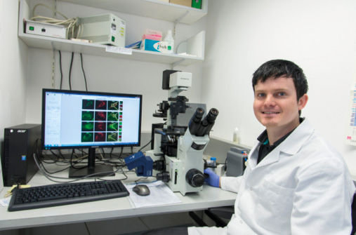 Stefan Salcher esamina al microscopio a fluorescenza dei mitocondri colorati di una cellula cancerogena del neuroblastoma&#08233;