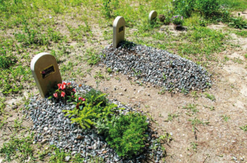 Semplici. Le tombe dei musulmani al cimitero di Bolzano